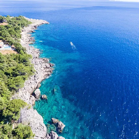 公寓 Plavac Mali-1 By Interhome Gornji Dingač